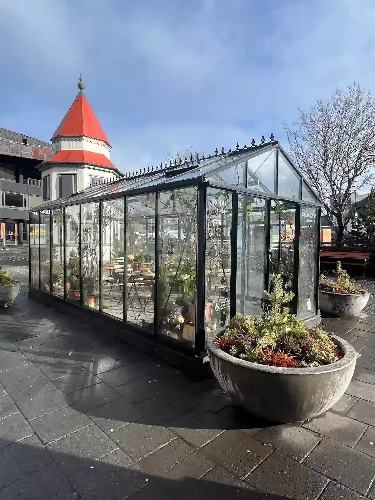 Copyright Knot Waste: Reykjavik, Iceland: A glass-house in the centre where you can enjoy your lunch surrounded by flowers and plants.