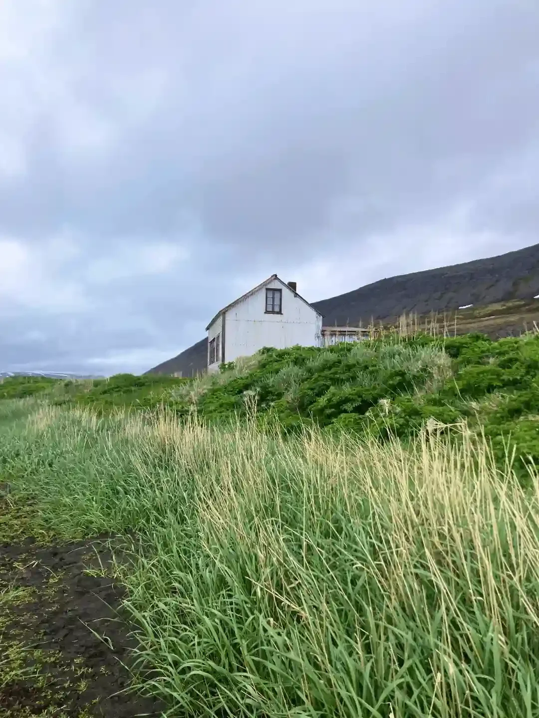Copyright Knot Waste: Hesteryri Village, Iceland - Known locally as Læknishúsið (The Doctor's House) is now a cafe serving coffee and pancakes. 