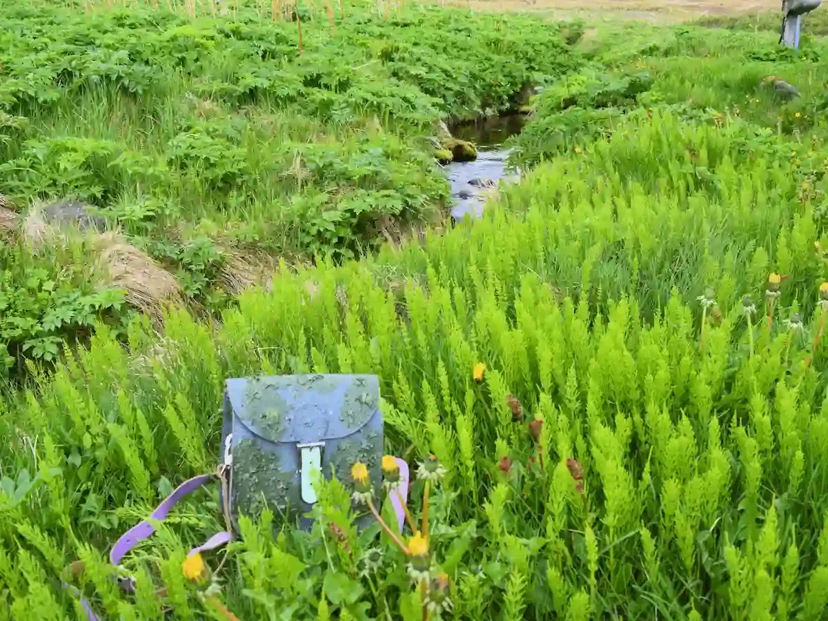 Copyright Knot Waste: Hesteryri Village, Iceland - From nature activities to nature crafts. One of our upcycled handbags inspired by the dramatic Icelandic landscapes. 