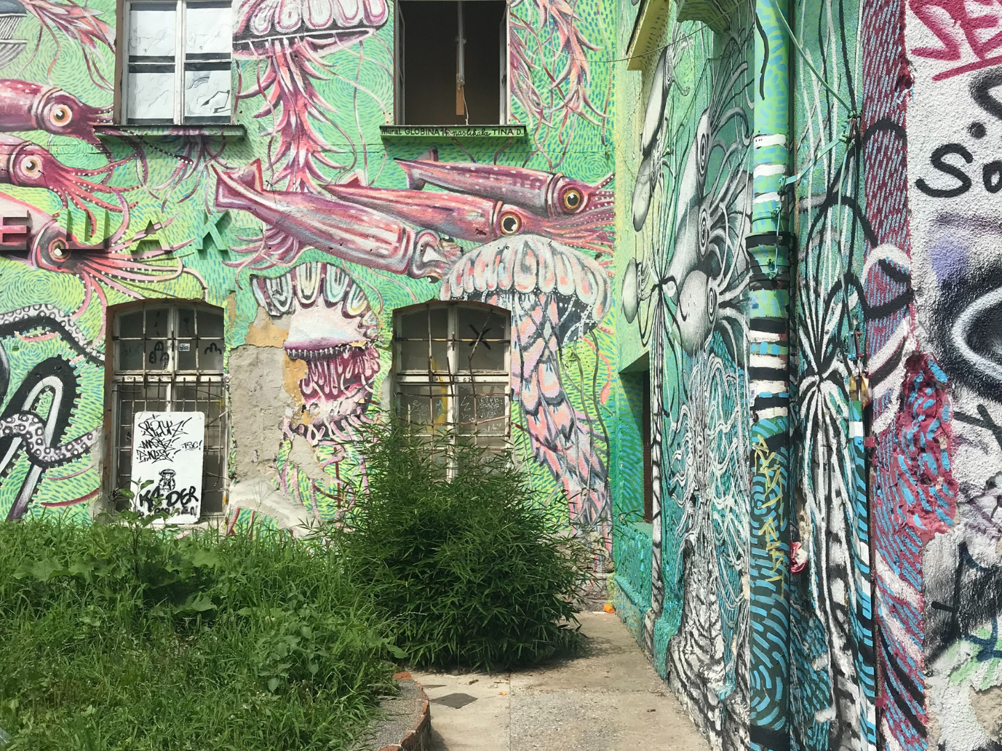 Art as Nature Connection - ljubliana - slovenia - green - fish - covered - wall .png