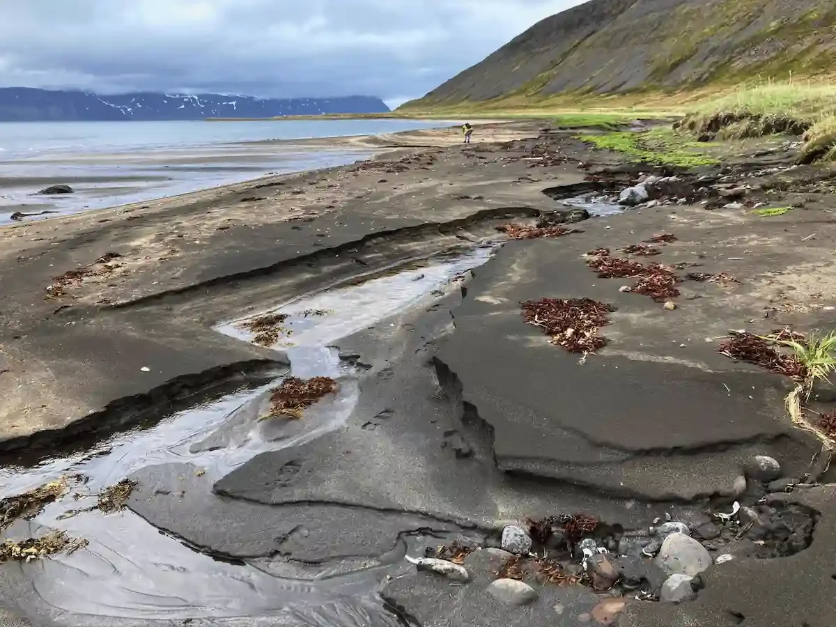 Copyright Knot Waste: Hesteryri Village, Iceland - Although you probably won't see puffins in the village, thousands of puffins nest on nearby Vigur Island and Æðey Island. So, you'll defintely see them flying past on your boat trip across. 
