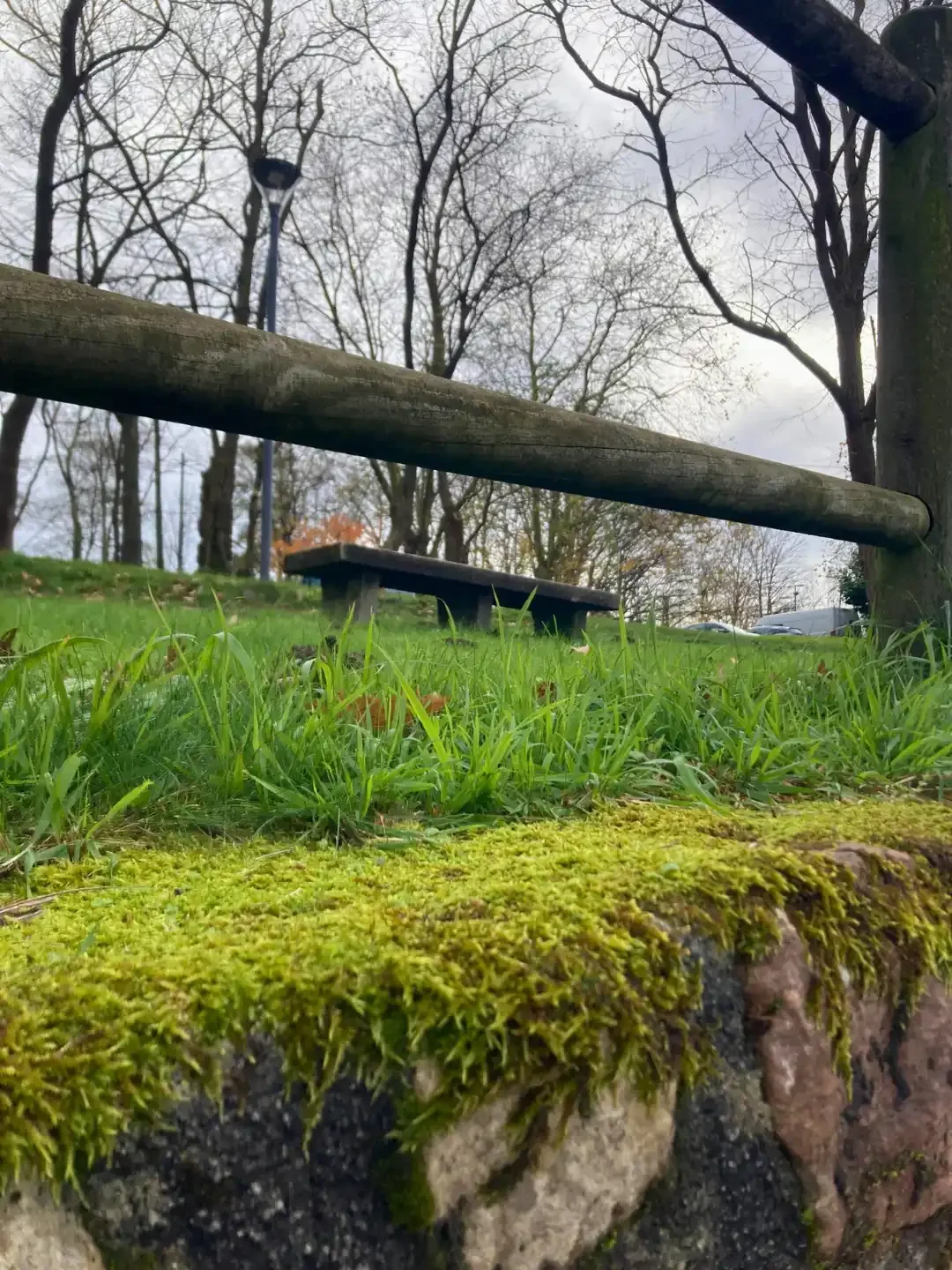 Biophilic Design - Bilbao - basque -country - bench - in - field.webp