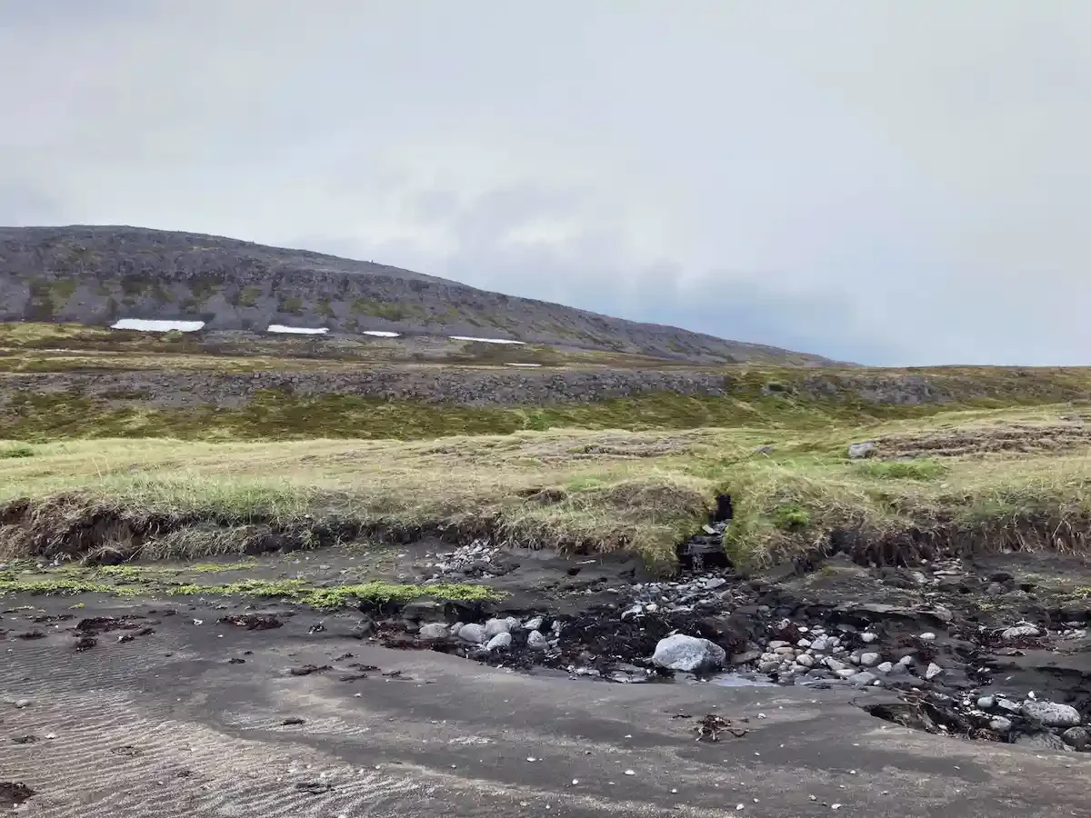 Copyright Knot Waste: Hesteryri Village, Iceland - Hornstrandir Nature Reserve is a protected area. You can often see arctic foxes, seabirds, and seals enjoying life by the shore. 