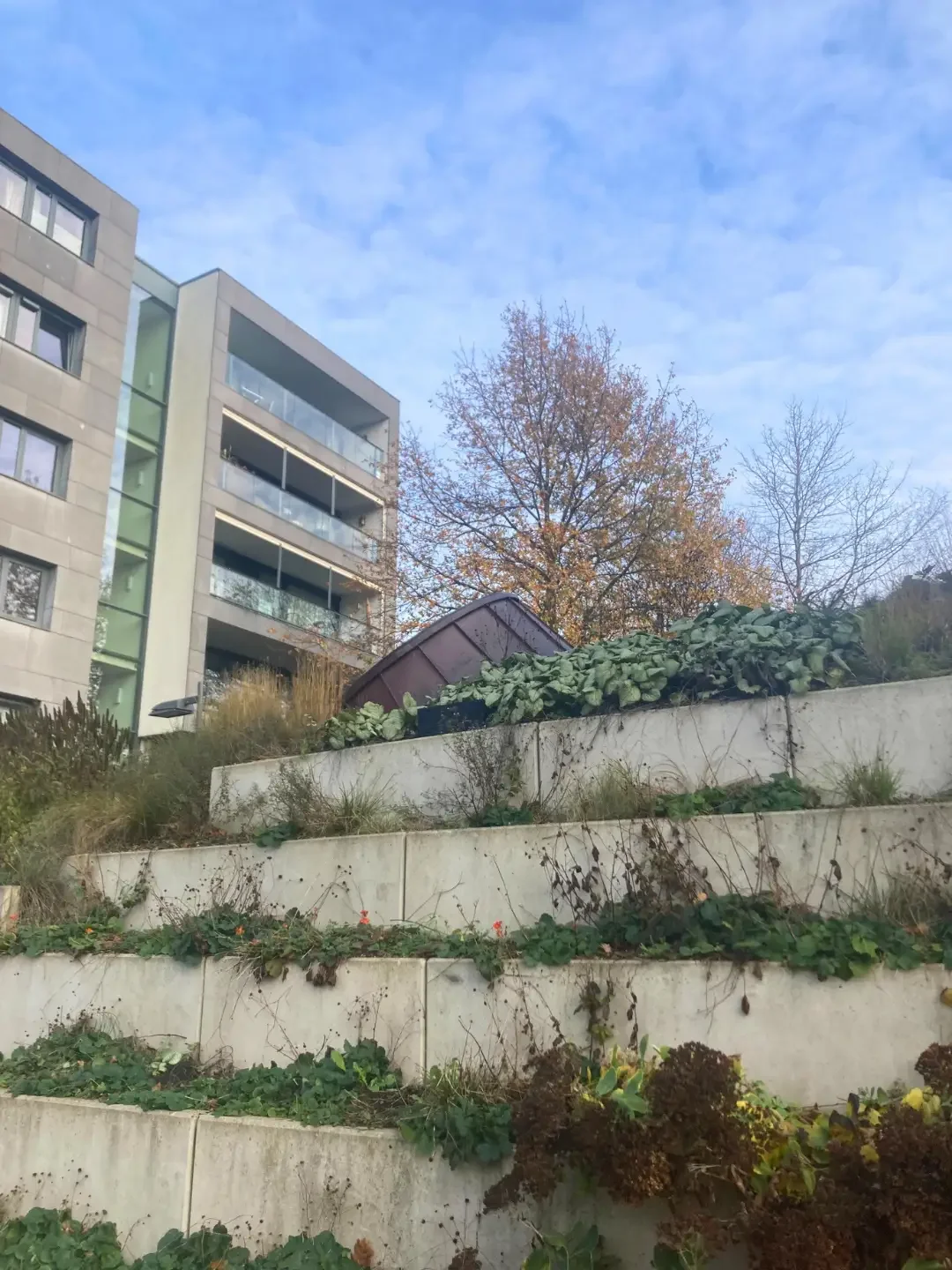 Biophilic Design - breda - netherlands - concrete - building - steps.webp