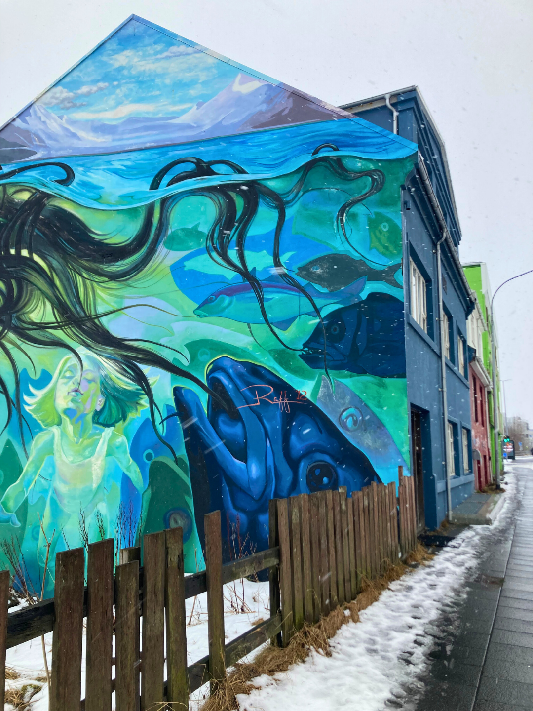 Art as Nature Connection - reykjavic - iceland - fish - wall - mural .png