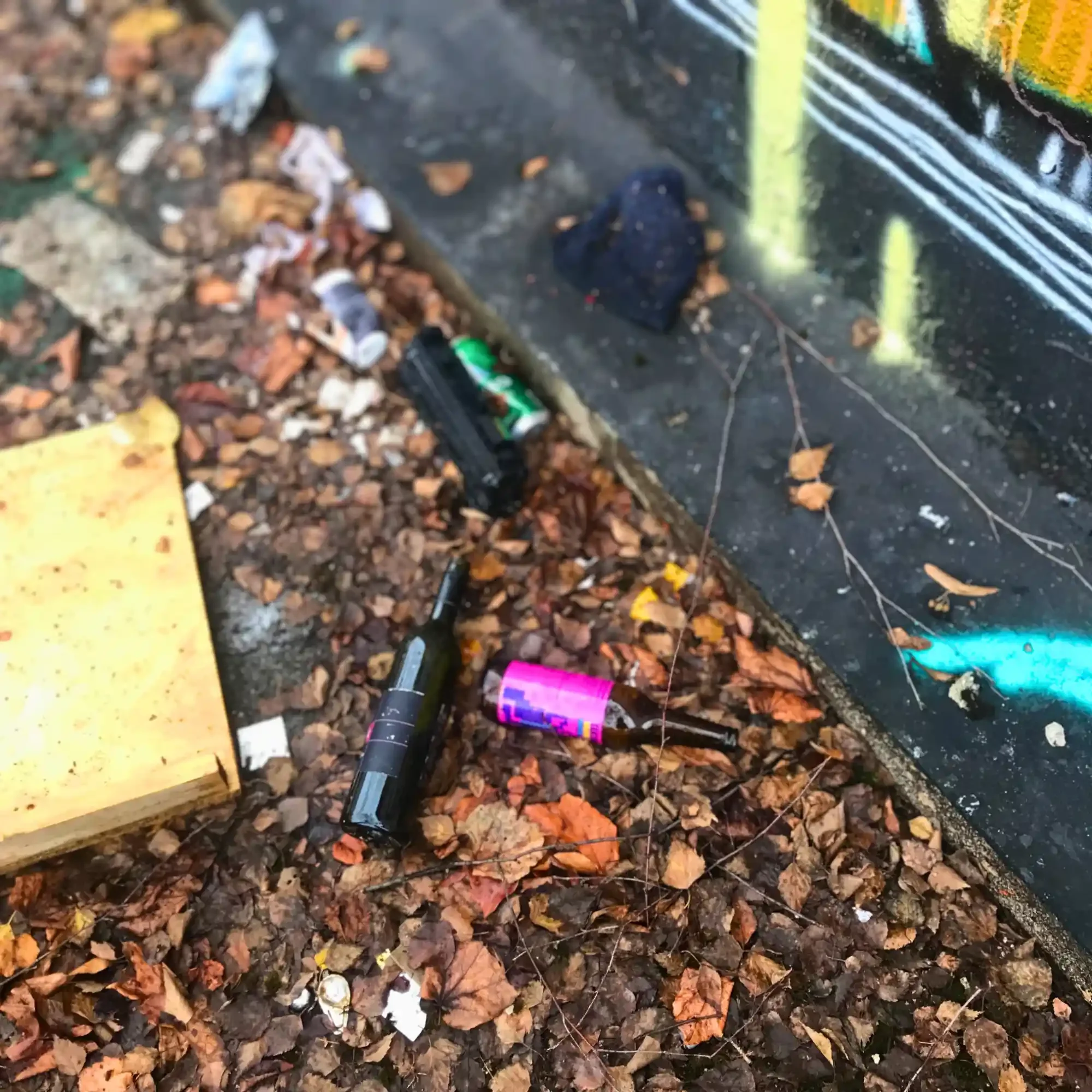 Glass litter bottles on dead leaves at an urban park with graffiti.