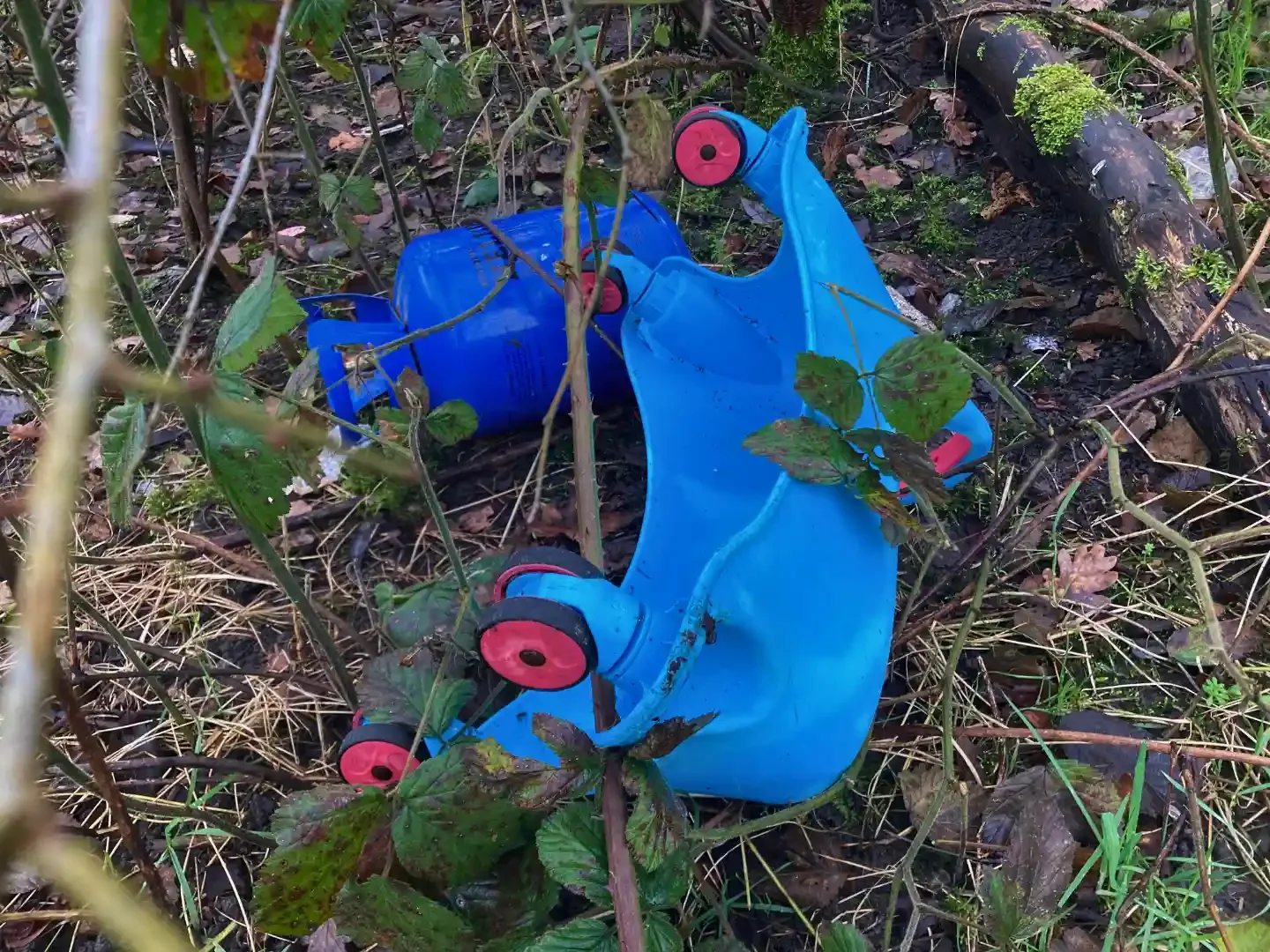 Litter in Nature - north west - uk - blue - canister - and - toy - car - in - bushes.webp