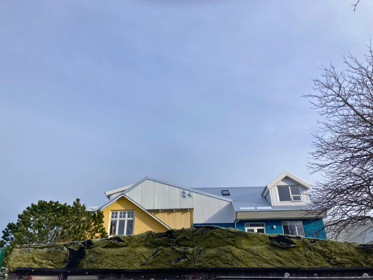 Urban Greening -  reykjavic - iceland - green - roof - turf - house .png