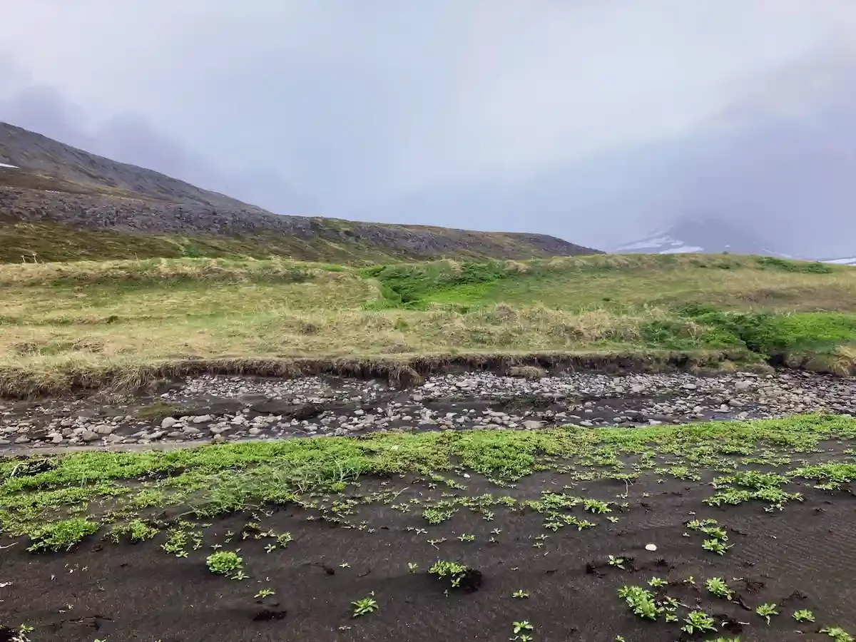 Copyright Knot Waste: Hesteryri Village, Iceland - Scenic coastal paths connect the old settlement to neighboring fjords and valleys for day-long or short walks.
