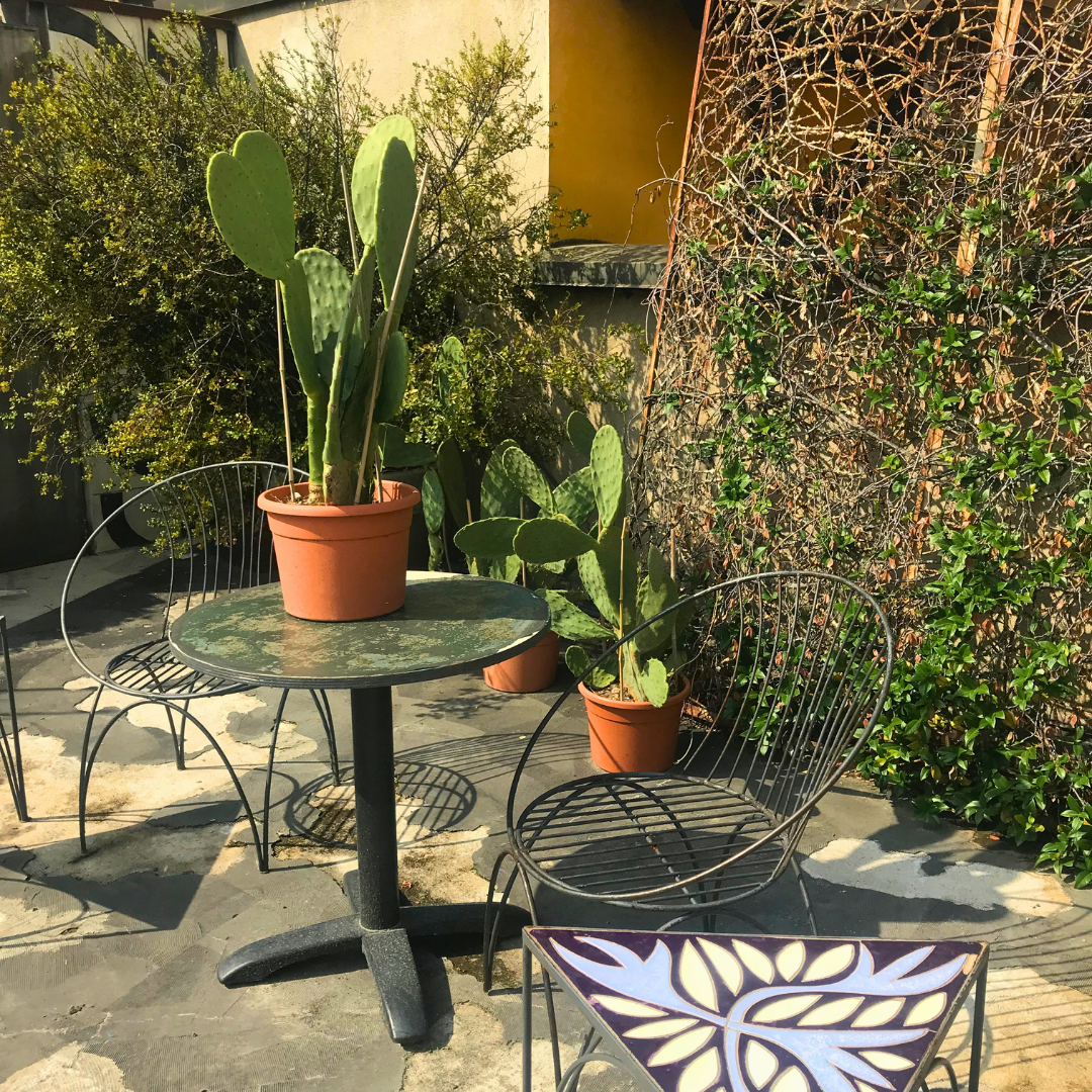Nature Inspired Interiors - milan - italy - 10 - corso - como - table - and - chairs - with - plant .png