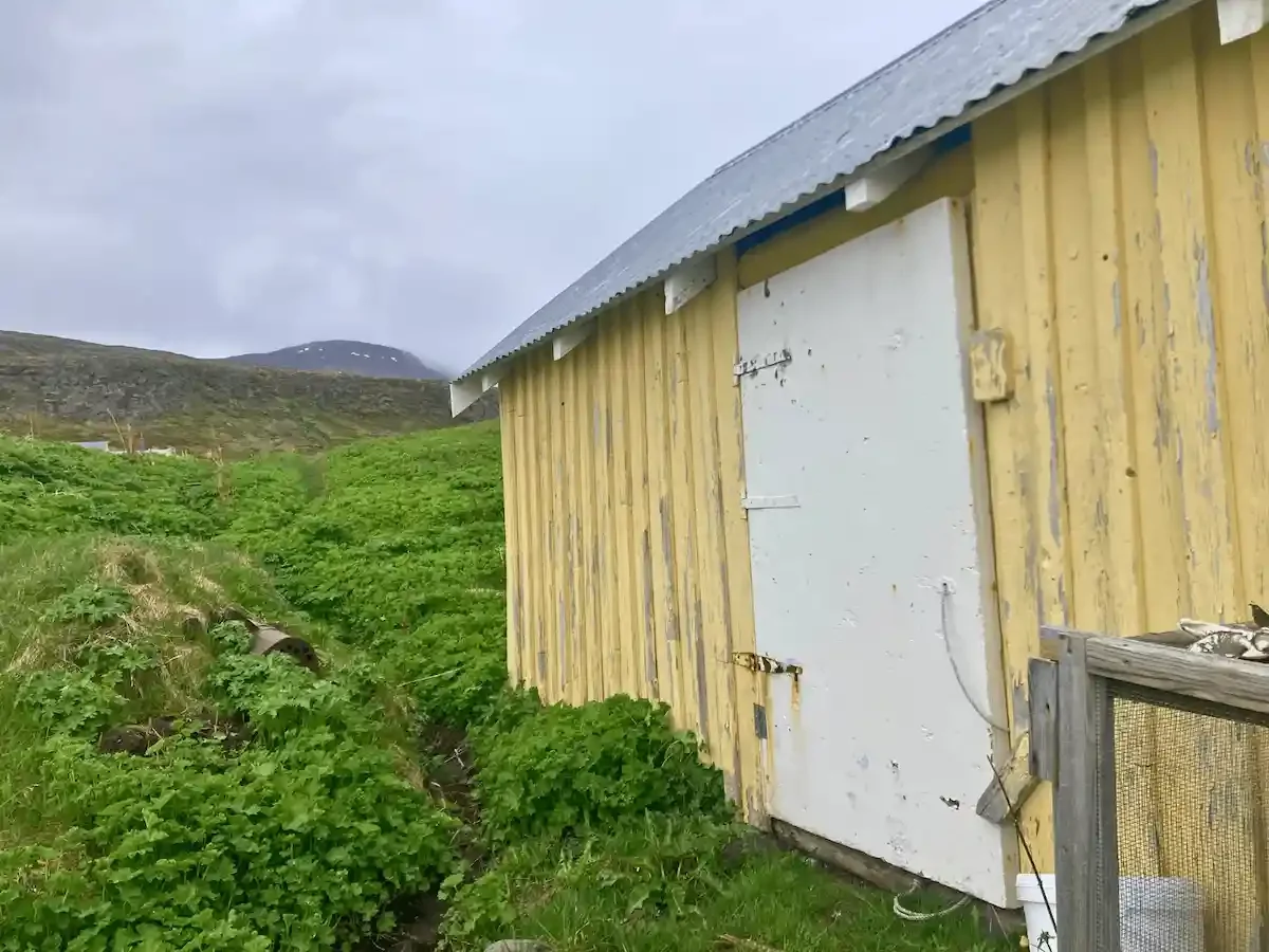 Copyright Knot Waste: Hesteryri Village, Iceland - Descendants of original residents still maintain several houses as seasonal summer cabins.