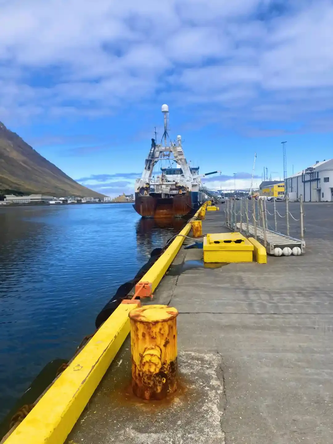 Copyright Knot Waste: Ísafjörður, Iceland - Alongside fleeting puffins, you can spot humpback whales, minke whales, dolphins, and porpoises on a baot trip.