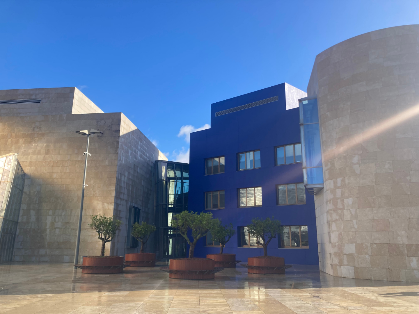 Biophilic Design - Bilbao - basque -country - guggenheim.png