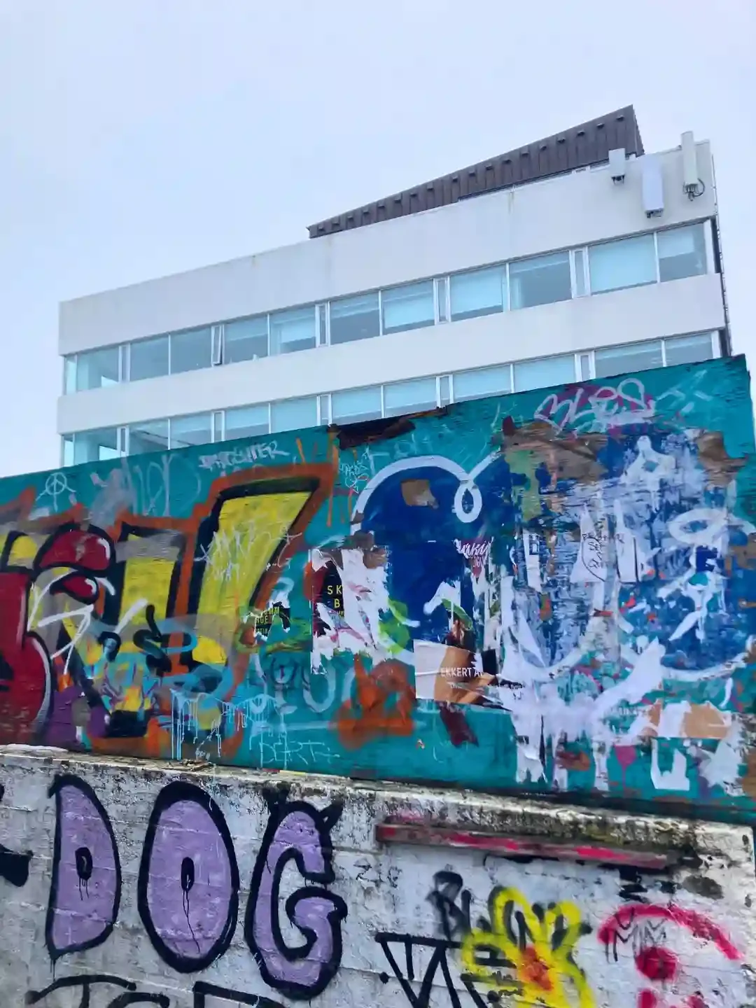 Copyright Knot Waste: Reykjavik, Iceland: The line between graffiti as art or as urban litter. 