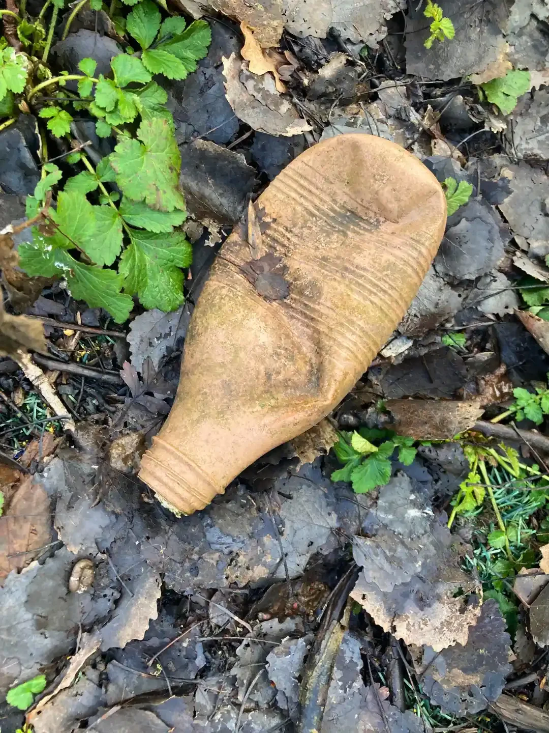 Litter in Nature- north west - uk - plastic - bottle .webp
