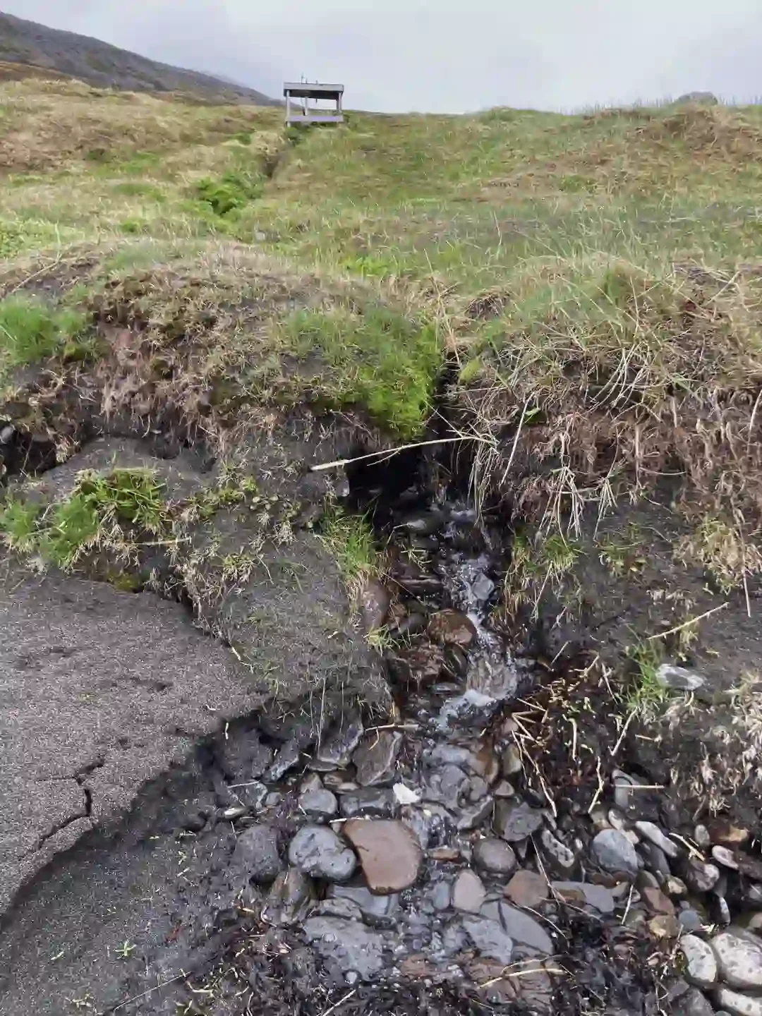 Copyright Knot Waste: Hesteryri Village, Iceland - Other popular birds in the area are black guillemots, Arctic terns, northern fulmars, and rare white-tailed sea eagles.
