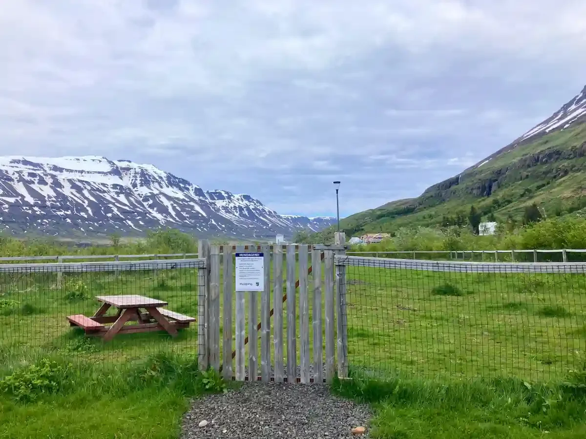 Copyright Knot Waste: Seyðisfjörður, Iceland - The town offers plenty of open, dog-friendly nature trails and scenic walking paths.