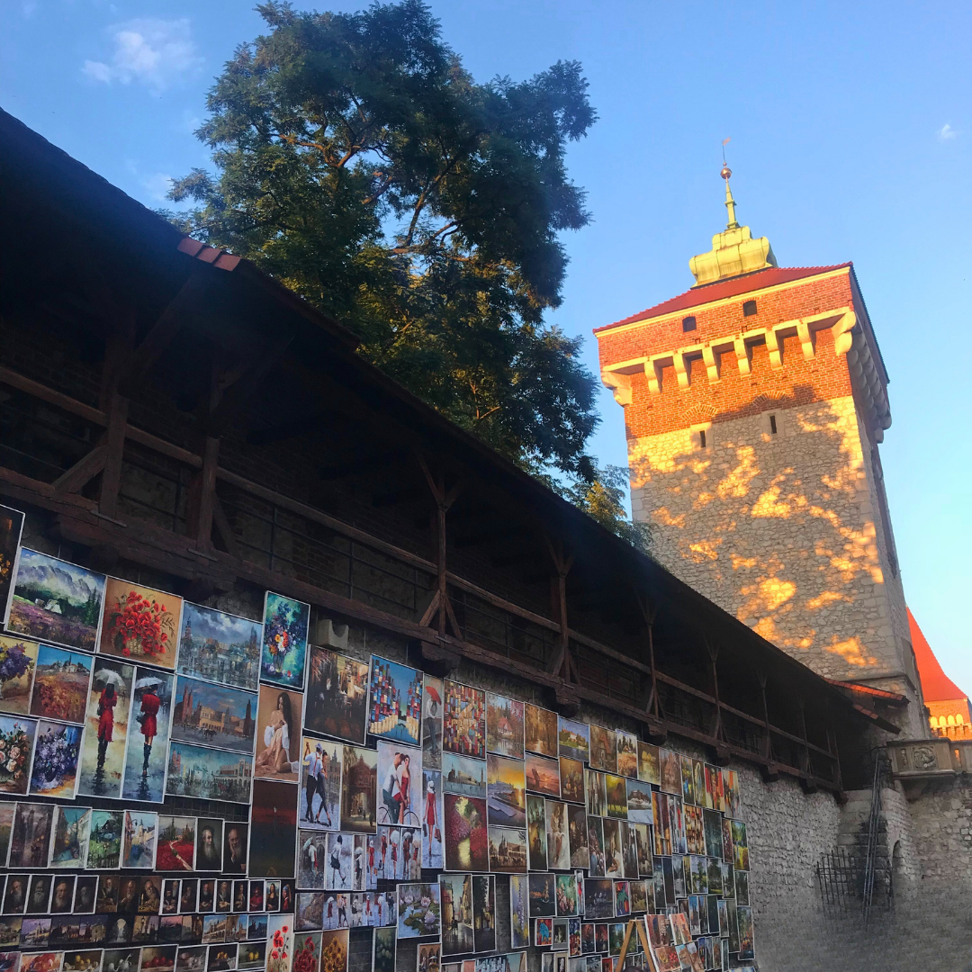Art as Nature Connection - zagreb - croatia - art - on - wall .png