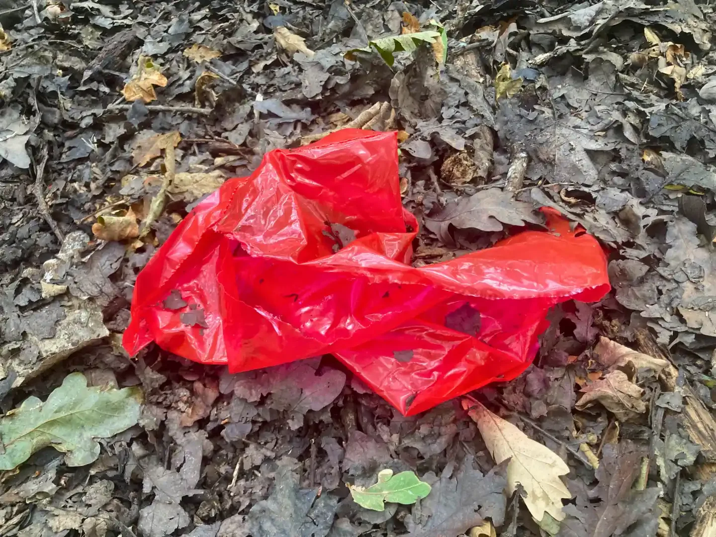Red plastic littered among fallen leaves in woodland, highlighting plastic pollution and environmental damage.