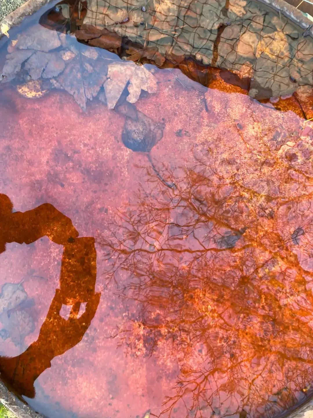 Marine Litter - breda - netherlands - rusty - water .webp