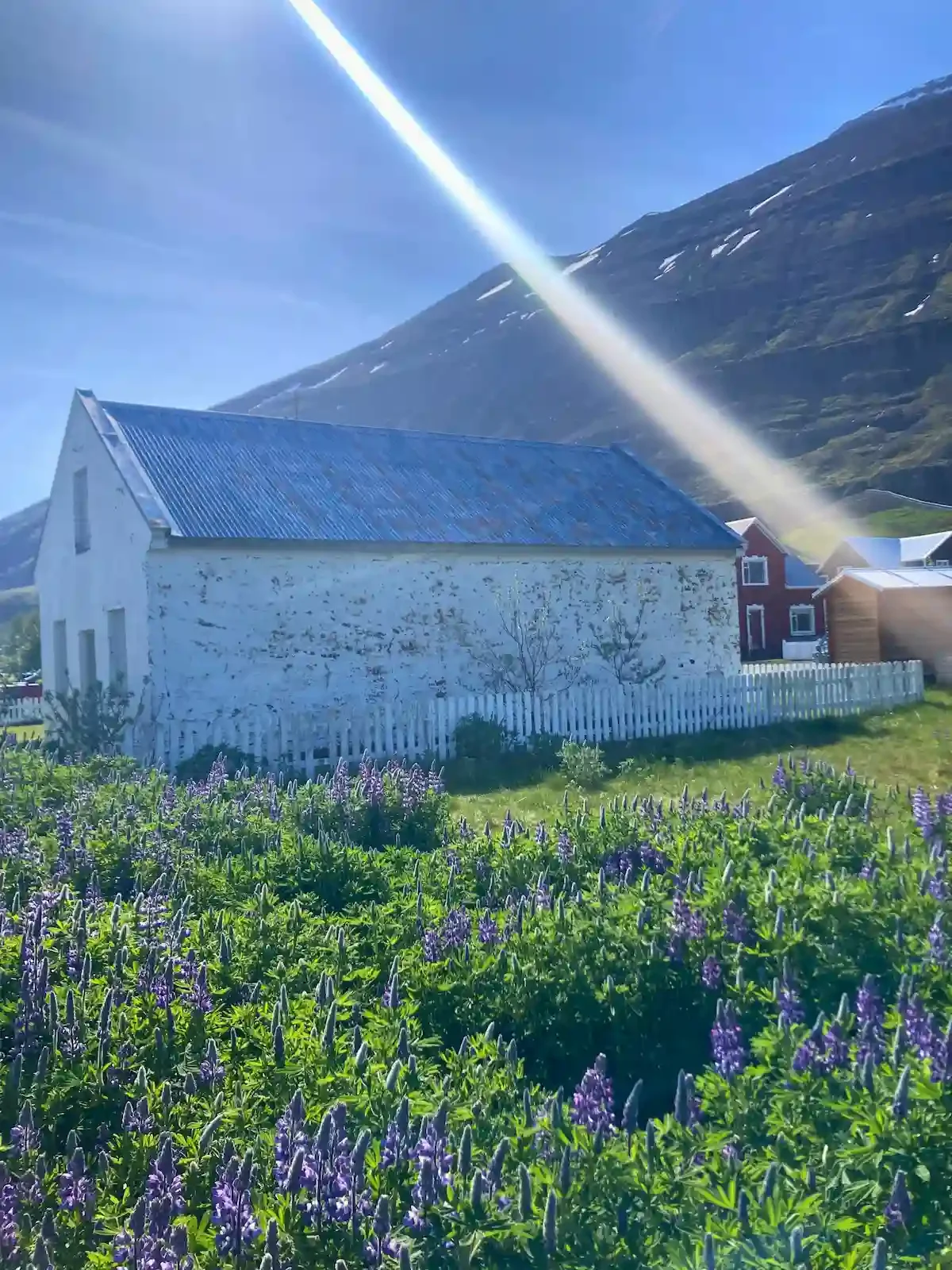 iceland seydisfjordur light shines by a white house.webp