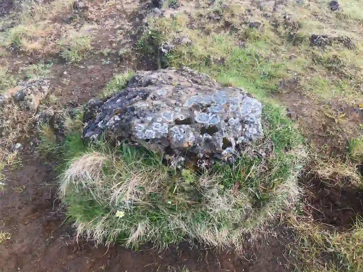 Copyright Knot Waste: Akureyi Trip, Iceland: Patterns by nature that will no doubt inspire a nature craft at some point. 