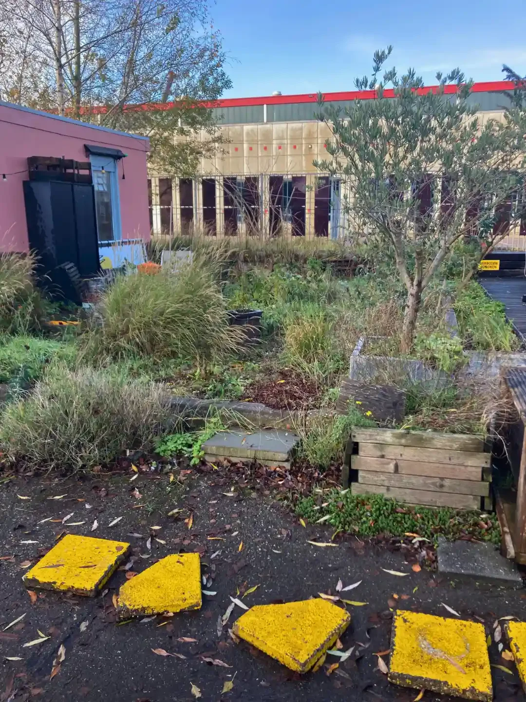 Urban Greening -community - garden.webp