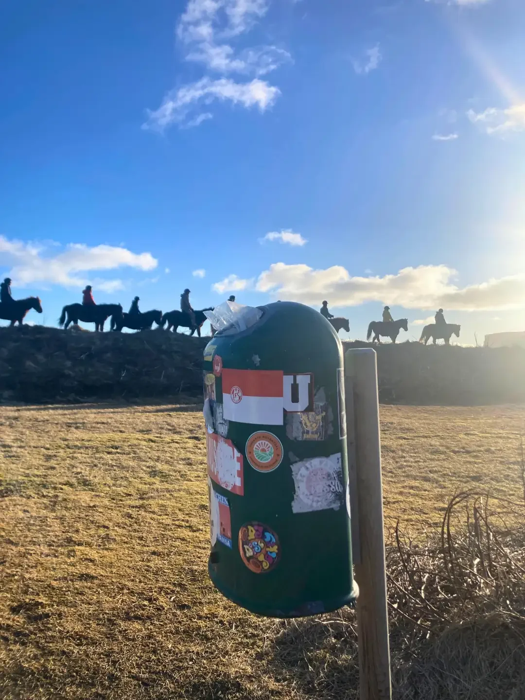 Sticker-covered rubbish bin in Icelandic countryside with horseback riders silhouetted against a bright blue sky.