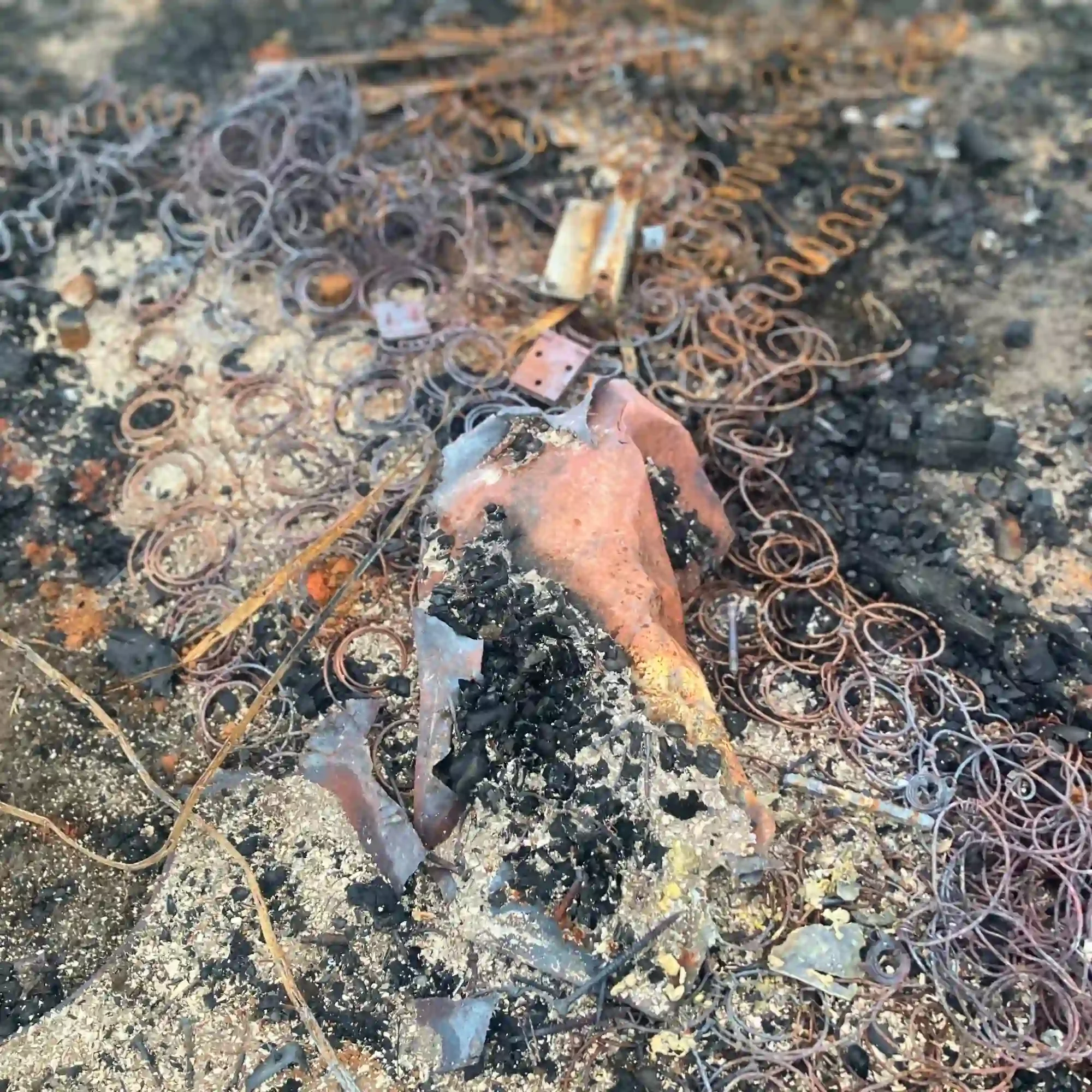 Litter in Nature - north west - uk - burnt - remains .webp