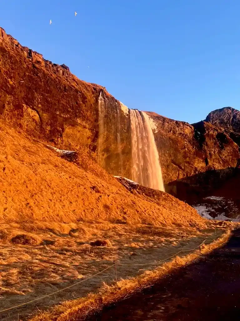 Copyright Knot Waste: Southern Iceland Coach Trip - Golden hour at Séljalandsfoss Waterfall. Locally named the "most photographed after Niagara," it has a walking path that lets you go completely behind the curtain of water.