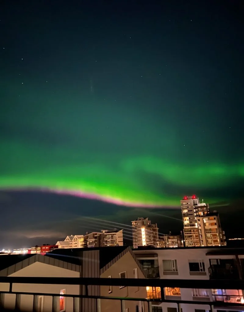 Pink and green Northern Lights illuminate the sky in Reykjavik Iceland.