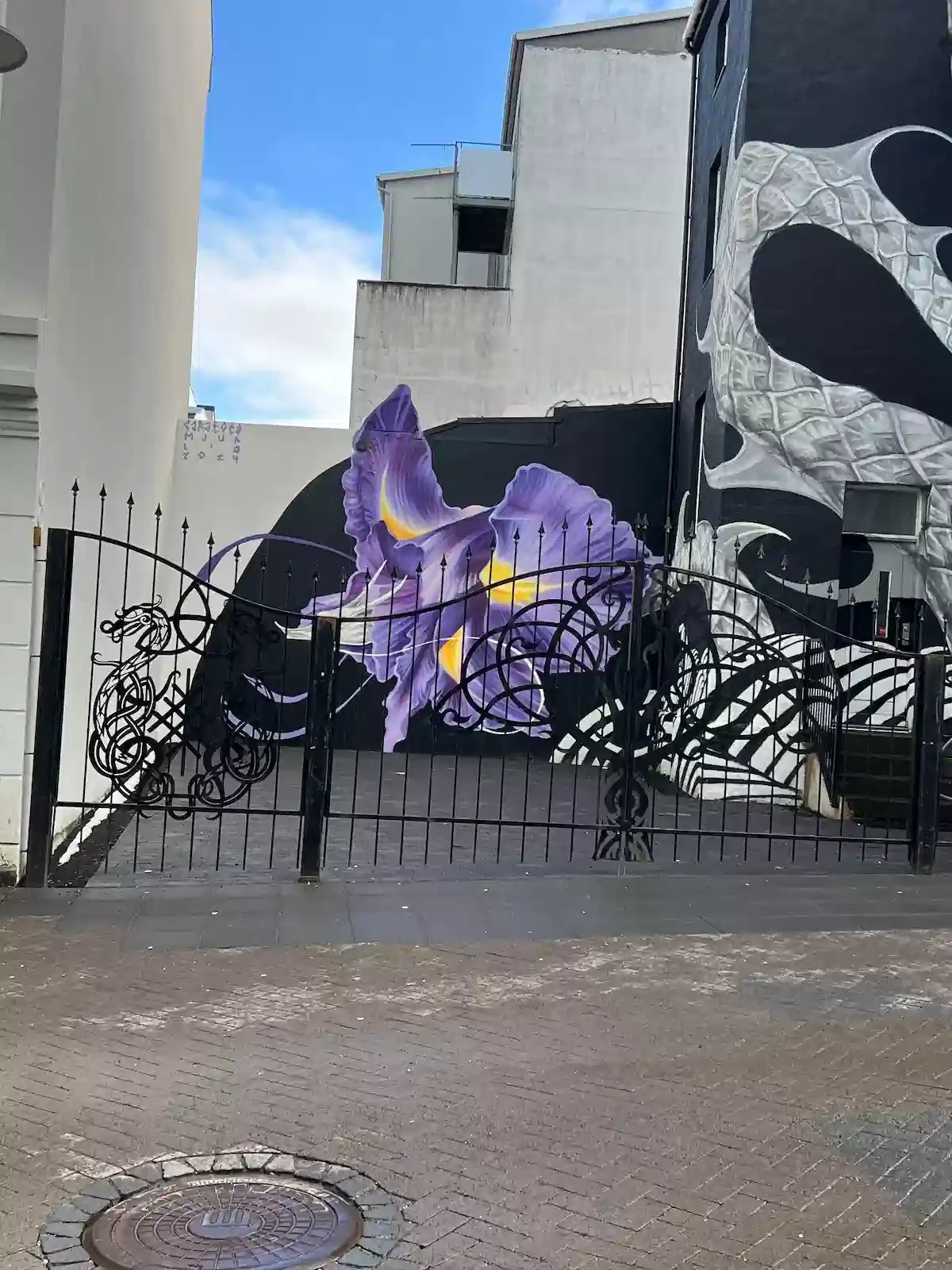 Copyright Knot Waste: Reykjavik, Iceland: An iris mural on a building around the shopping area. 