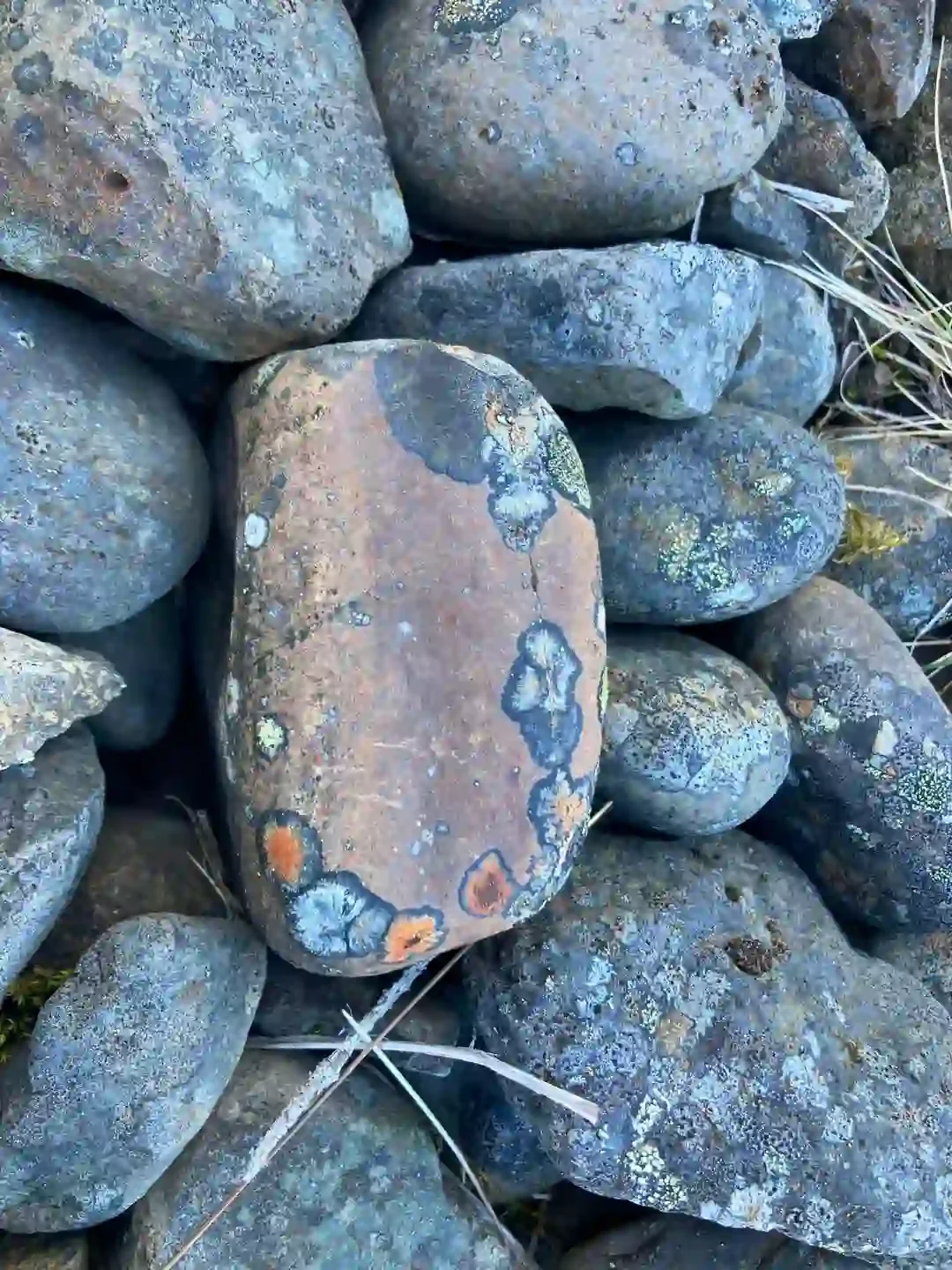 Copyright Knot Waste: Seyðisfjörður, Iceland - The orange patches come from lichens thriving on the wet, mineral-rich coastal and waterfall cliffs. We think it's a natural pattern that could easily inspire some art. It's no wonder the area is so crea