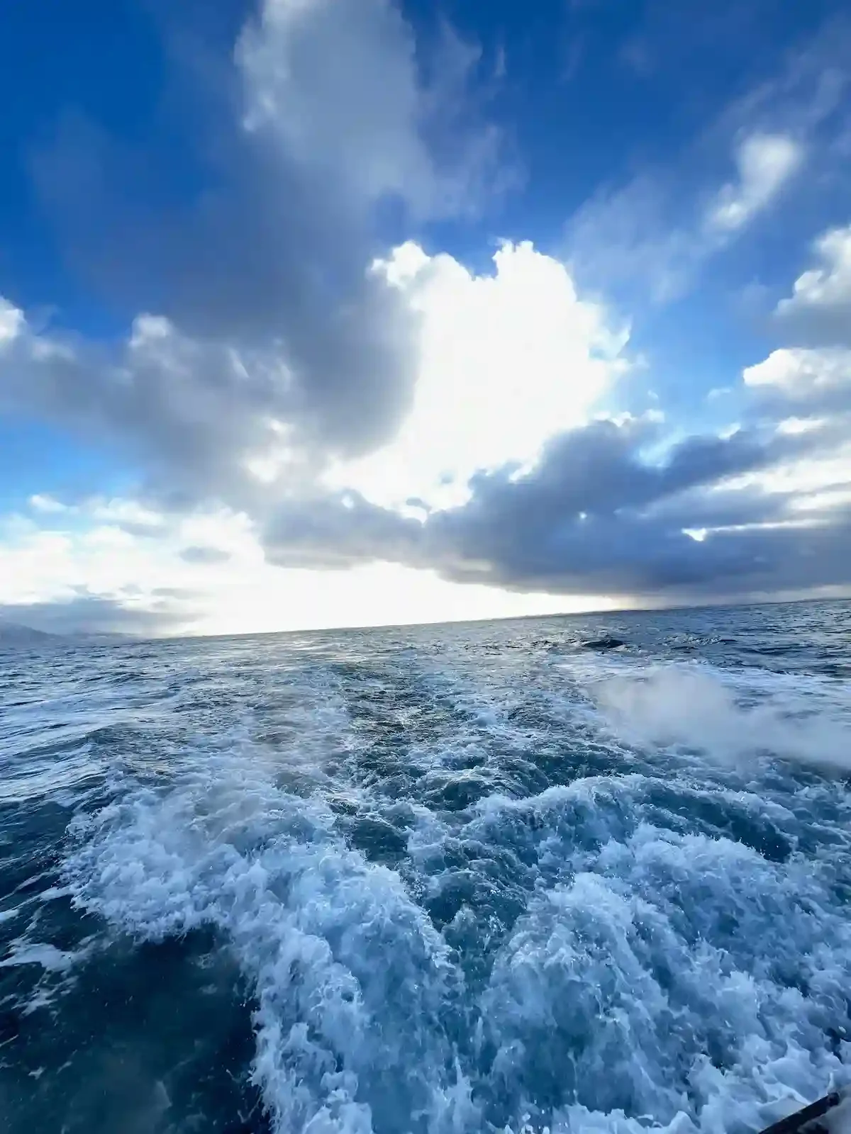 Copyright Knot Waste: Reykjavik, Iceland - The bubbling water from the boat's engine on a Humpback whale day trip from Reykjavik. 