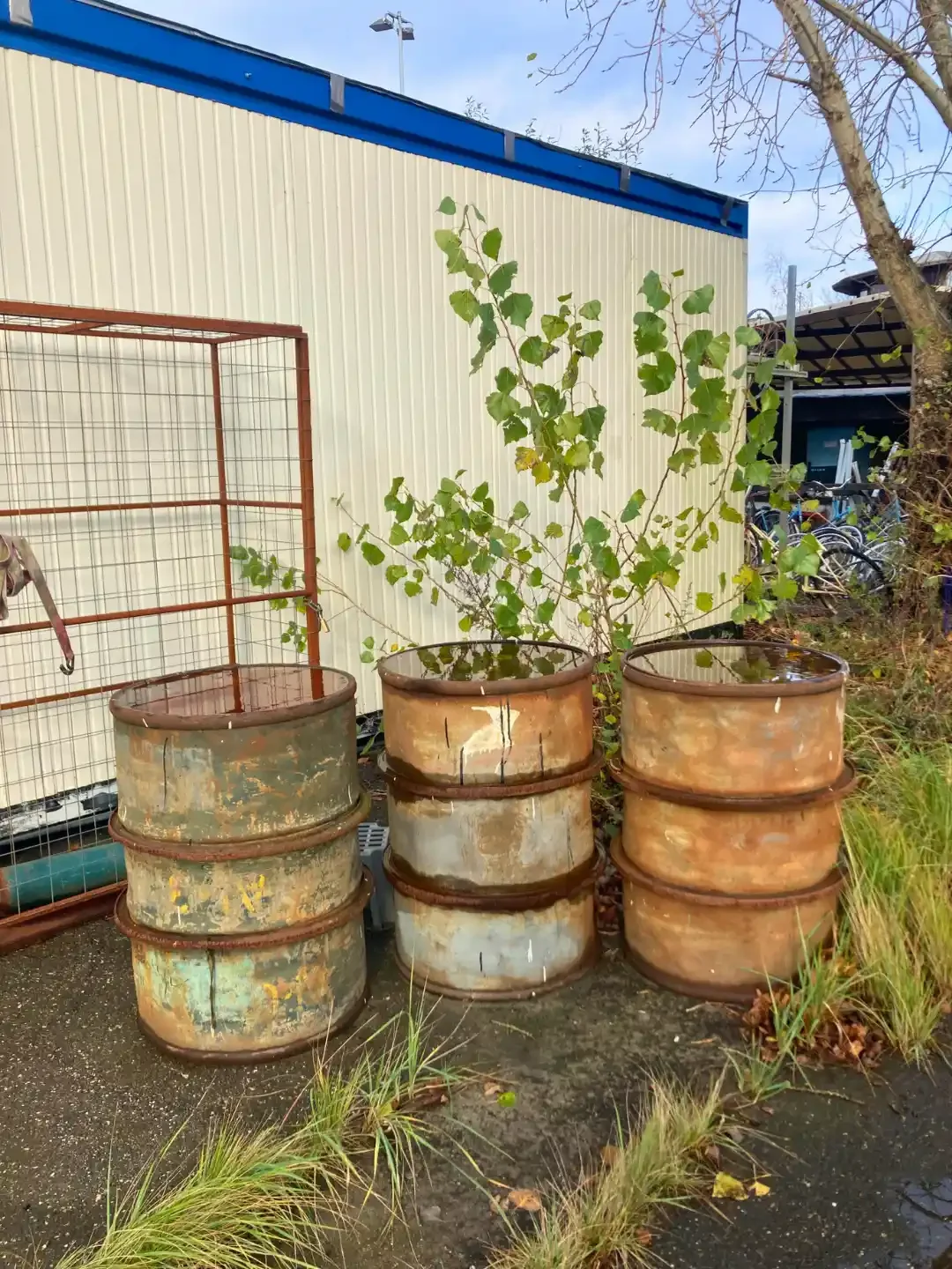 Three rusty containers in an urban scrapyard surrounded by greenery.