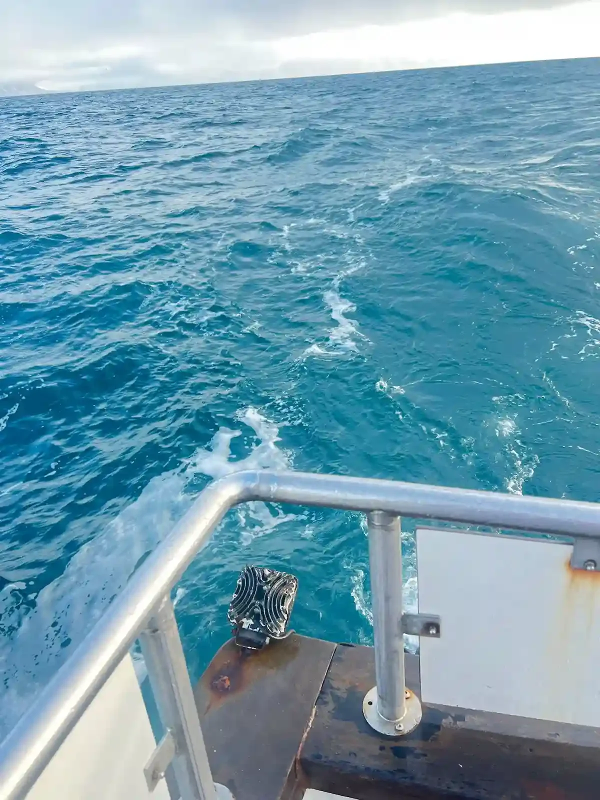 Copyright Knot Waste: Reykjavik, Iceland - Waiting for Humpback whales at the back of the boat.