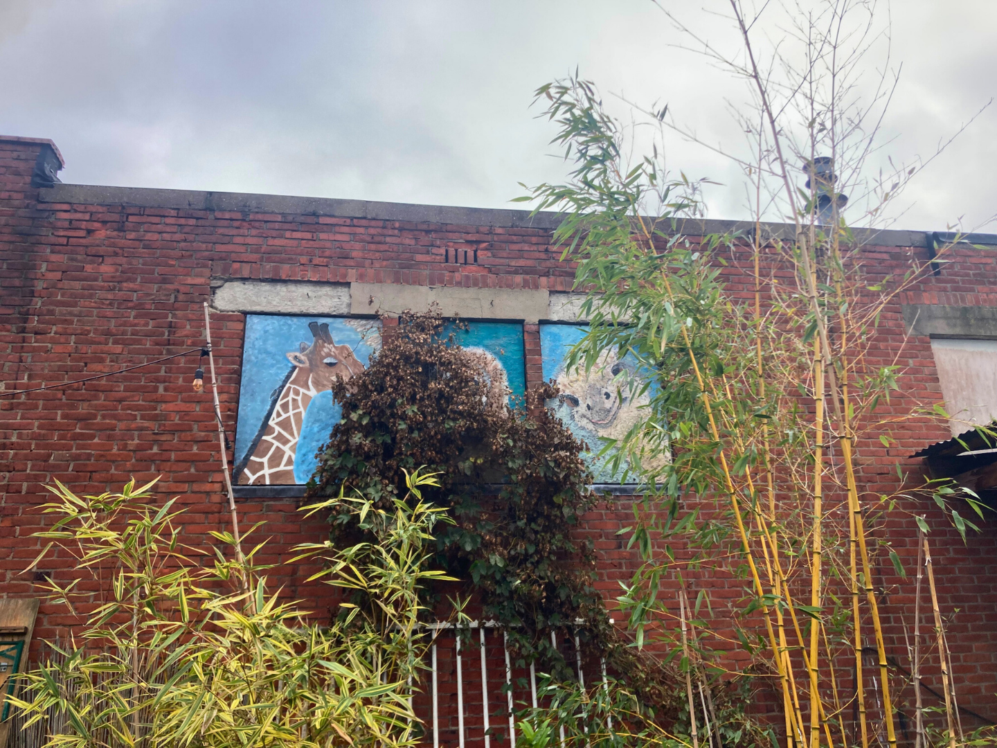 Art as Nature Connection - breda - netherlands - animal - wall - art.png