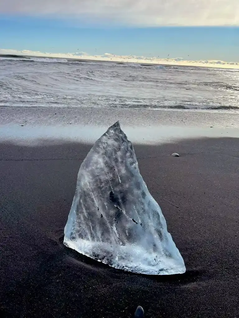 Copyright Knot Waste: Iceland, Diamond Beach - Close up of a large ice chard on the black sand.