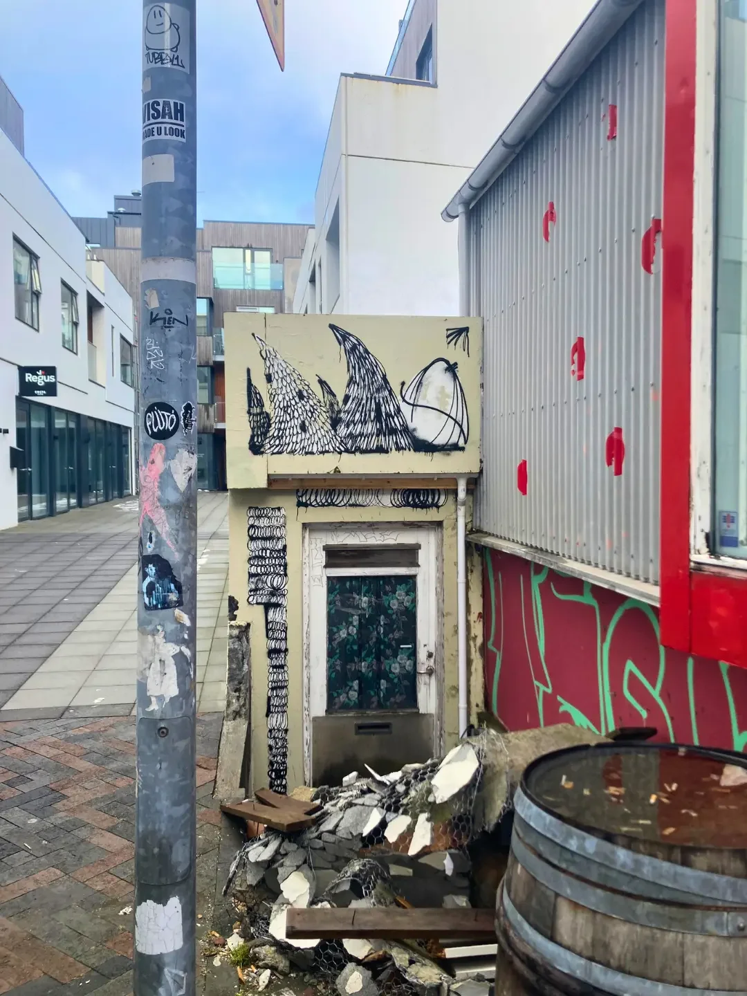 Urban Litter - reykjavik - iceland - street - rubbish .webp