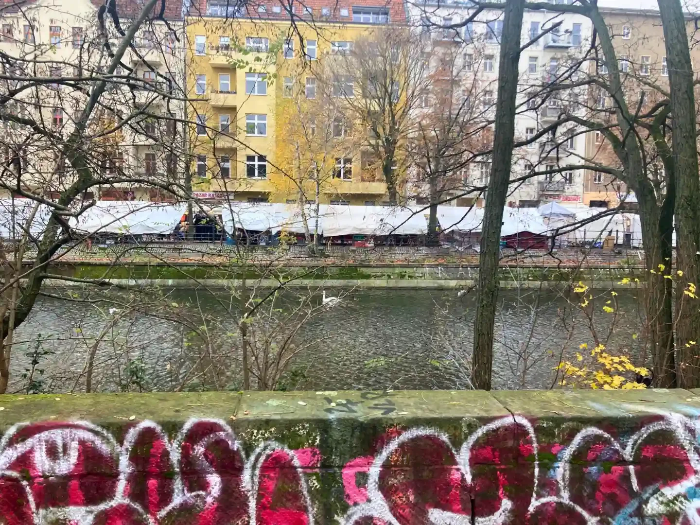 Urban Animals - berlin - germany - swan - on - river - grafitti - wall .webp