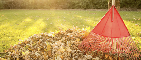 Leaf/lawn Debris Cleanup Service