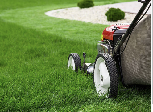 $60 Basic Mowing Service: 1/2 acre - 1 acre (Mowing, edging, cleanup of pathways). Smaller yards are usually $40. Please call or email for smaller/larger/commercial yards.