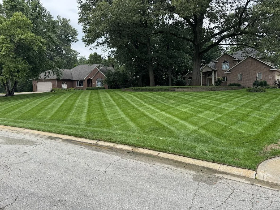 LAWN MAINTENANCE