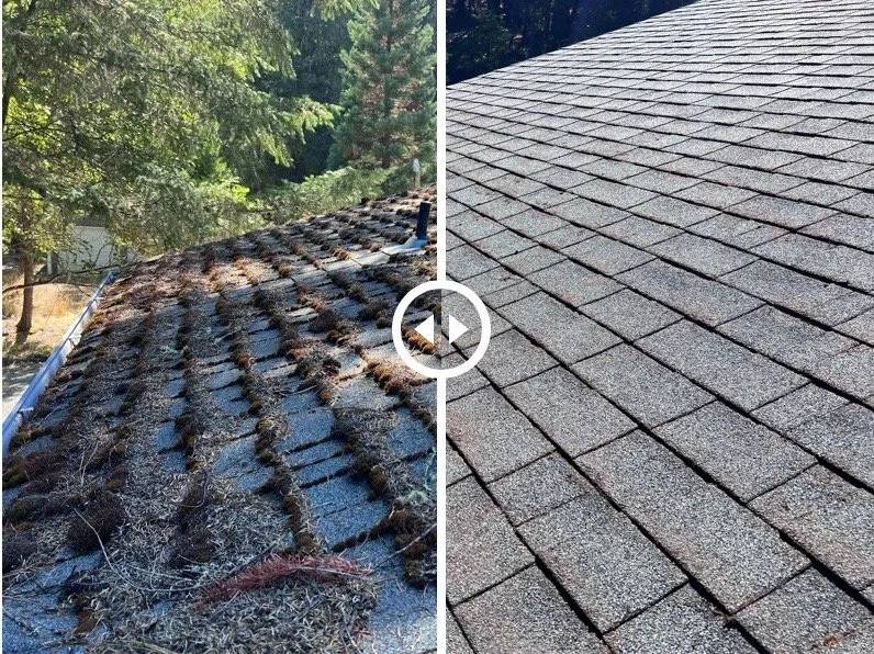 Oranssi project: studio shed