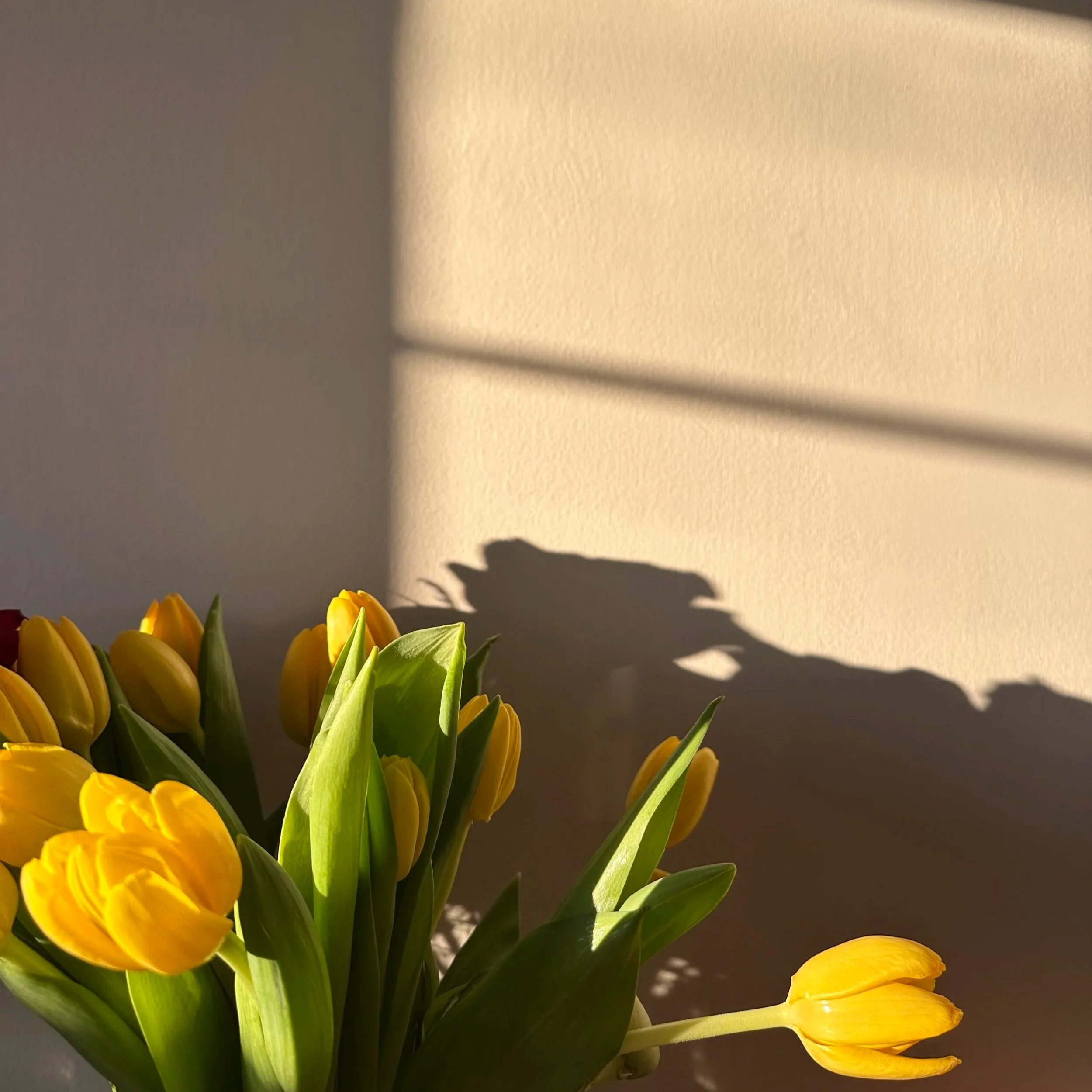 I didn’t mean to start a flower business. 