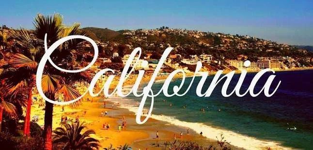 Waiting on California: How Mobile Voting Could Help Deliver Faster Election Results