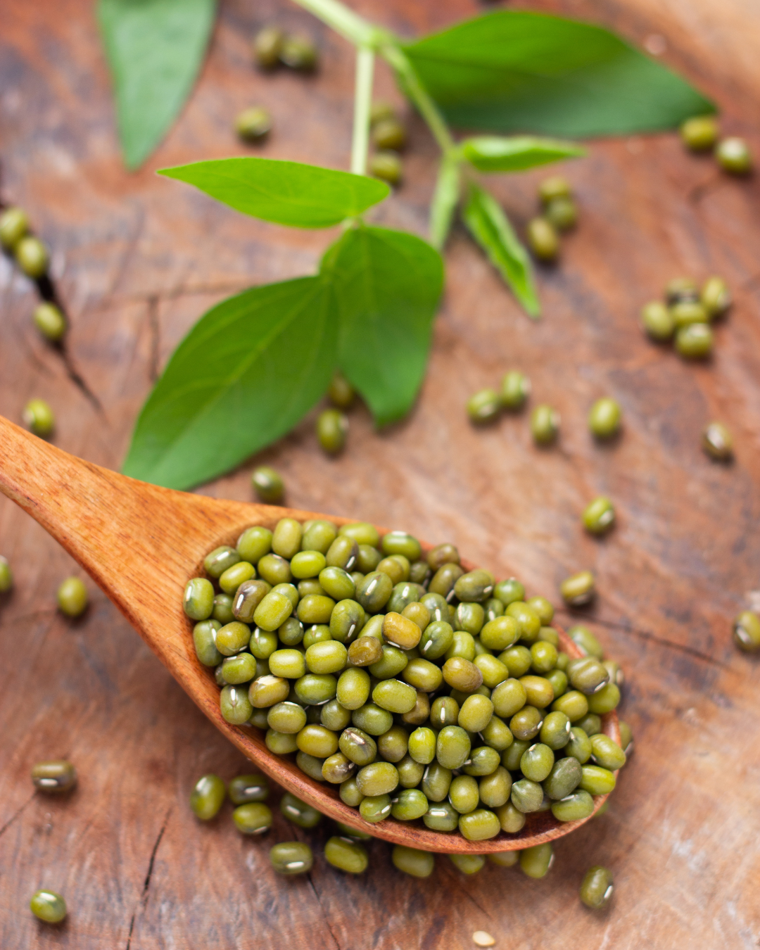 Green mung beans in a wooden spoon with green leaves on a wooden surface.