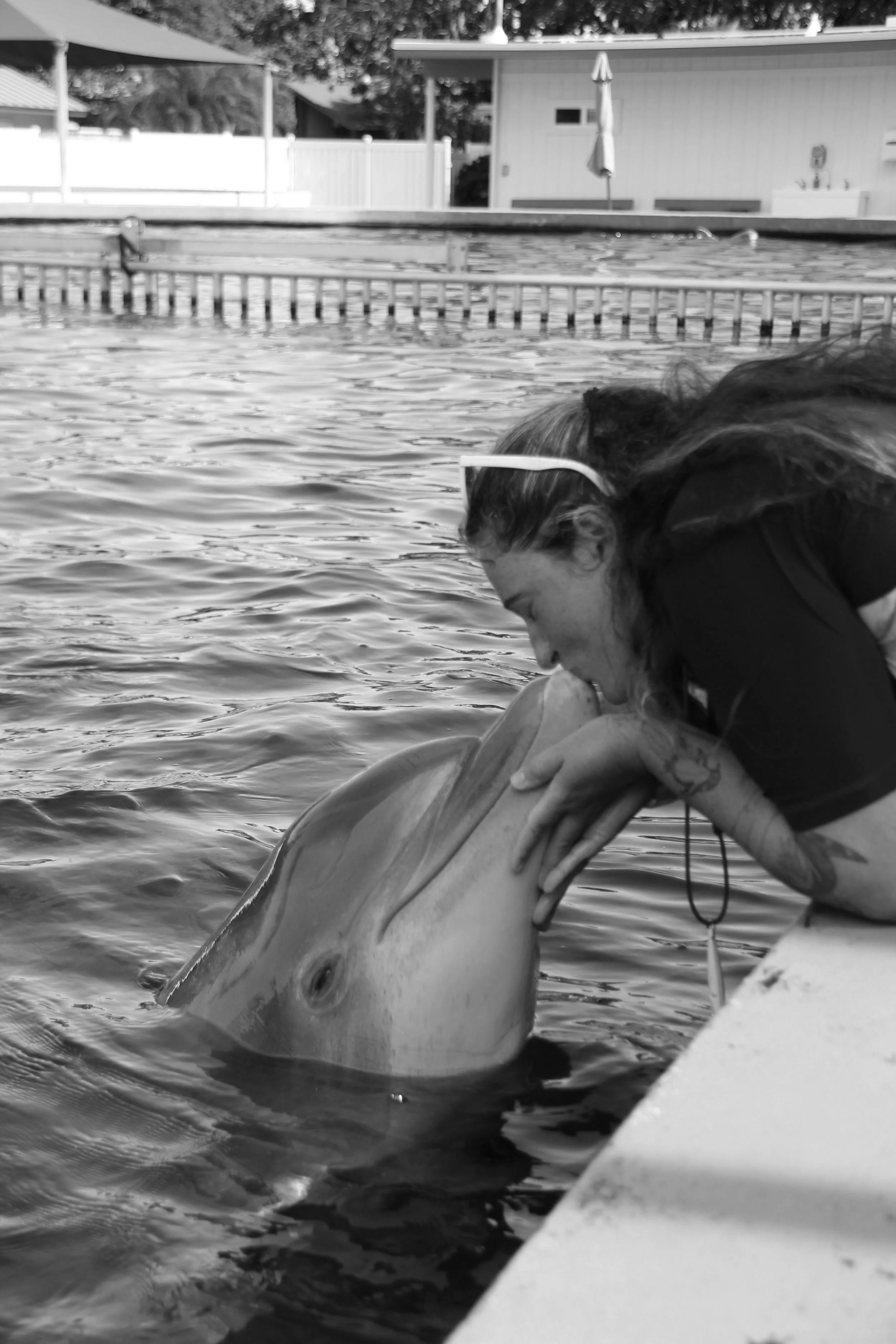 A woman leaning over the edge of a dock, kissing a dolphin that is coming out of the water, in an outdoor setting with a pool and structures in the background.
