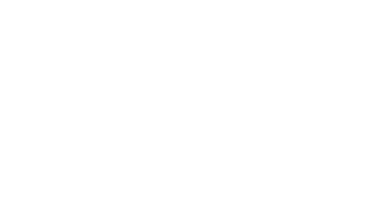 VISA logo