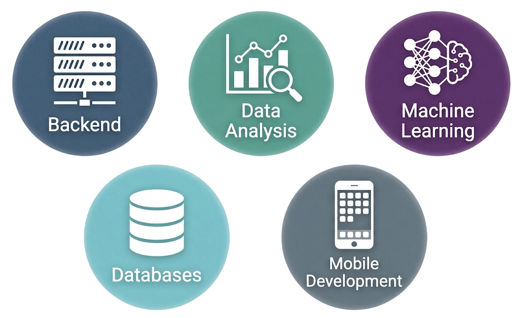 Icon representations of backend, data analysis, machine learning, databases, and mobile development.